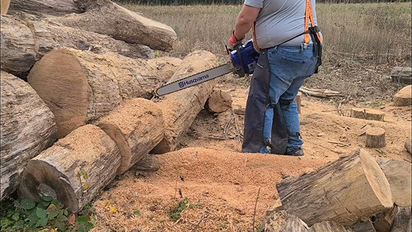 Holzfforma Farmertec G288 Ешь дуб!